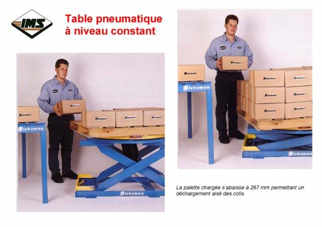 Table élévatrice pneumatique