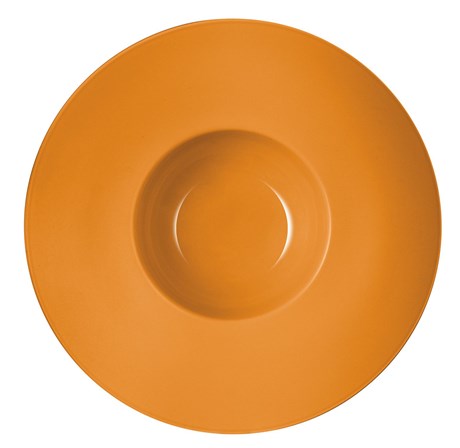 ASSIETTE CREUSE SAVOR GRAND CHEFS CARAMEL 31 CM (VENDU PAR 6)