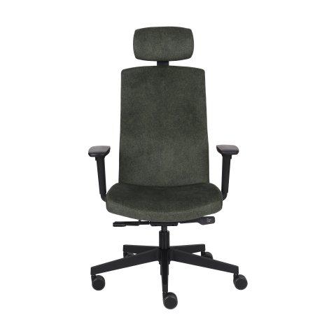 CHAISE DE BUREAU ERGONOMIQUE TEAM PRO , VERT