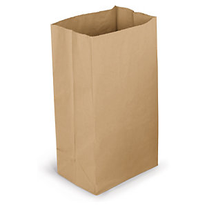 SAC KRAFT RECYCLÉ 22 X 30 X 12 CM