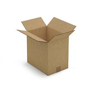 CAISSE CARTON BRUNE DOUBLE CANNELURE RAJA 31X22X30 CM