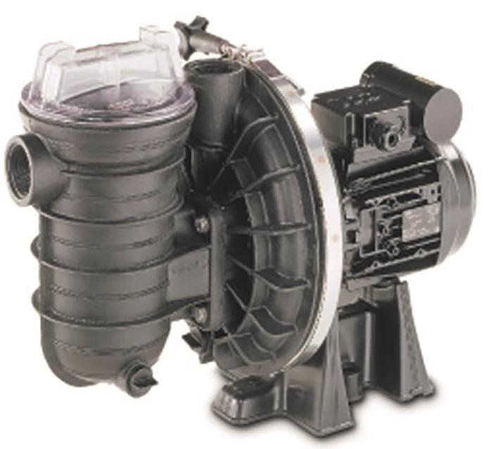 Pompe Sta-Rite S5P2RD1 - 12 m3/h - Mono - 0,55 kW - Compatible eau salée 4g/l_0