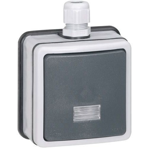 POUSSOIR NO+NF À VOYANT PLEXO IP66 COMPLET 6A 250V GRIS - LEGRAND