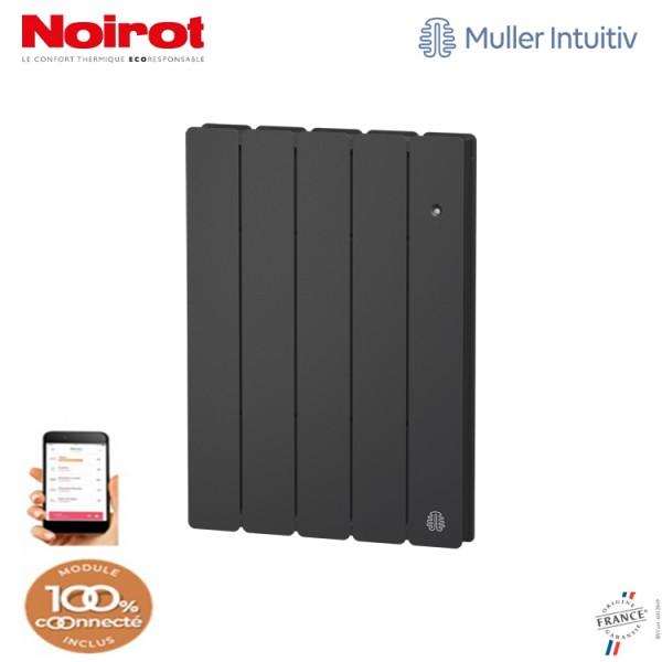 RADIATEUR FONTE NOIROT BELADOO 750W HORIZONTAL GRIS ANTHRACITE CONNECTÉ NEN1682SEHS