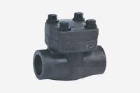 Clapets anti-retour forgés Pro-Diris - à bille, piston ou battant - Acier, Inox, Alliages spéciaux - PN150 à PN420 - DN8 à DN50_0