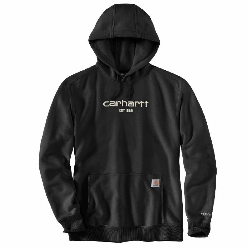 Sweat à capuche Force Noir Logo Graphique Homme - Carhartt - Technologie Fast Dry® et Force® - Tailles : S_0