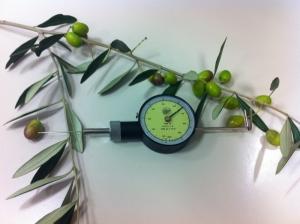 53208 - Pénétromètre analogique pour olives - Mesure de fermeté et détachement_0