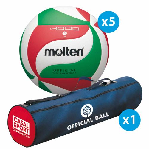 LOT 5 BALLONS DE VOLLEY - MOLTEN - V5M4000
