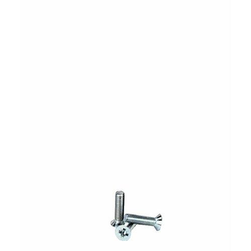VIS À MÉTAUX FRAISÉE - POZIDRIV - FILETAGE TOTAL - 3X10MM - 500 PIÈCES GFD