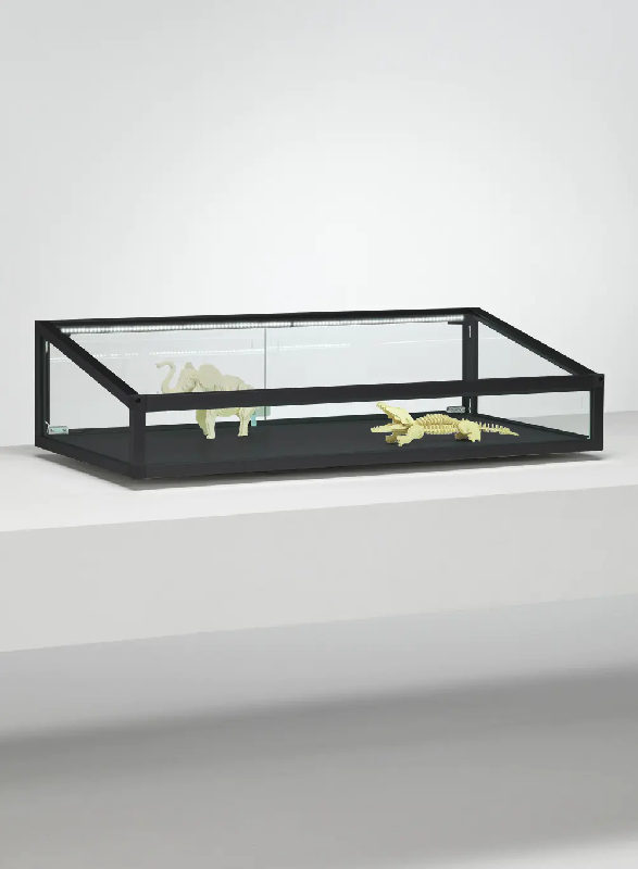 Vitrine plate inclinée c12tbva - aluminium laqué noir_0