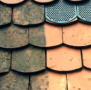 Destructeur des mousses et lichens - ALGI SCAR® - Protection longue durée, usage professionnel et public, 1L/600m²_0