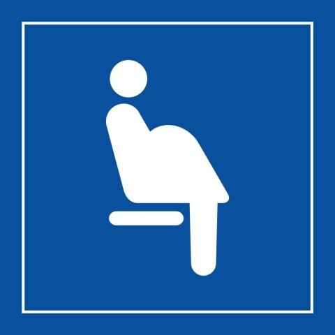 LOT DE 2 - PICTOGRAMME - SIÈGE PRIORITAIRE FEMMES ENCEINTES - ISO 7001 350 X 350 MM PVC 2 MM