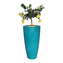 Plast&ampampamp#039Up Rotomoulage Pot de fleurs conique delight 200l - BUTTERFLY GREEN - vert 0637962082012_0