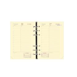 QUO VADIS timer 17 1jp pre dec/dec fr rech s/f - 669001q_0