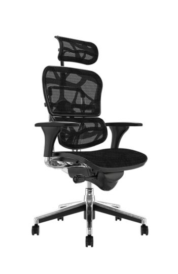 Fauteuil de bureau ergonomique HumanErgo - haut dossier, maille noire, têtière et accoudoirs réglables_0