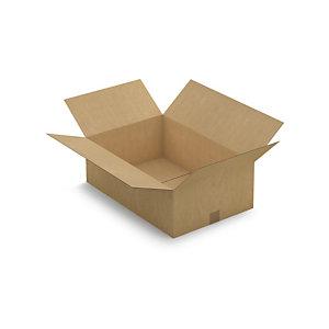 CAISSE CARTON BRUNE SIMPLE CANNELURE RAJA 60X40X20 CM