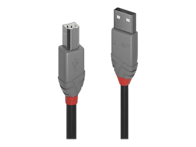LINDY ANTHRA LINE - CÂBLE USB - USB POUR USB TYPE B - 3 M