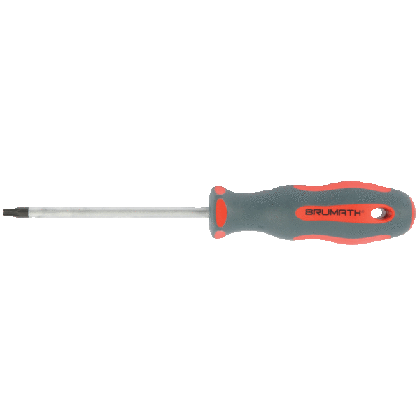 TOURNEVIS TORX T30X100 BR-3029 BRUMATH BR-3029 - OTELO