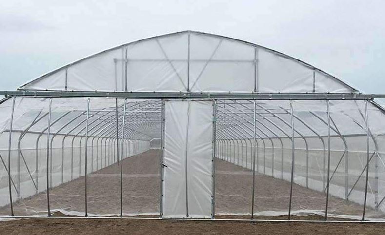 Serre à travée unique idéale pour la production horticole et le stockage de matériel agricole - Easyart_1