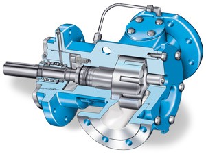 Pompe à engrenage interne Viking métrique - moteur direct pour utilisation intensive_0