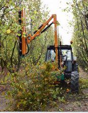 Lamier arbo sur tracteur - cosmos 105t_0