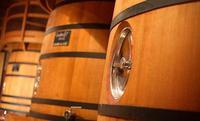Cuve tronconique - 70 hectolitres pour vinification et élevage de vins rouges_0