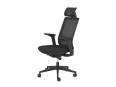 Fauteuil ergonomique ALEXIA - Everysit_0