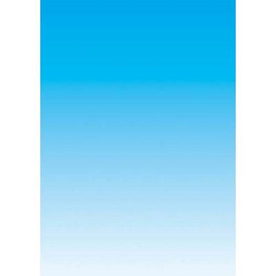 BOÎTE DE 250 FEUILLES DECADRY -  PAPIER COULEUR COPIEUR LASER JET D'ENCRE RECTO/VERSO - 80 G - A4 - BLEU