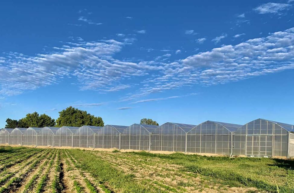Serre à travées multiples  utilisée dans toutes les zones climatiques - Multiart_0