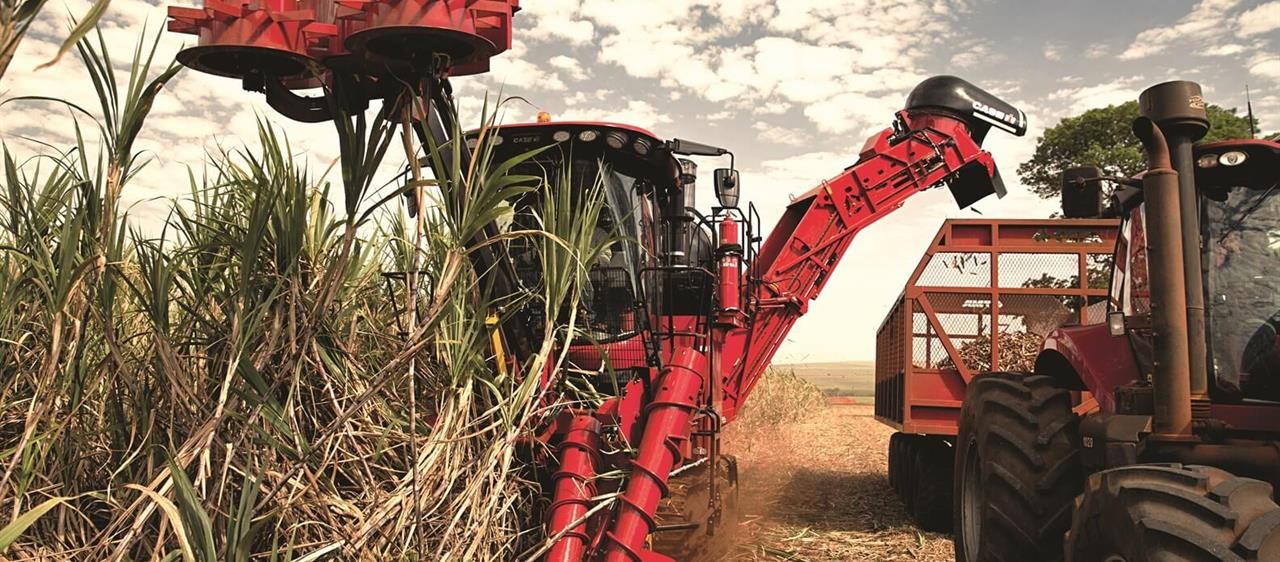 Récolteuse de canne à sucre austoft 8010 et 8810 - case ih - puissance 358 cv à 2100 tr/min_0