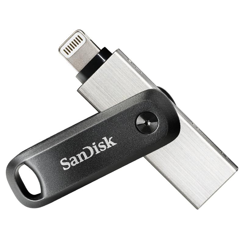 SanDisk SDIX60N-256G-GN6NE lecteur USB flash 256 Go 3.2 Gen 1 (3.1 Gen 1) Gris, Argent_0