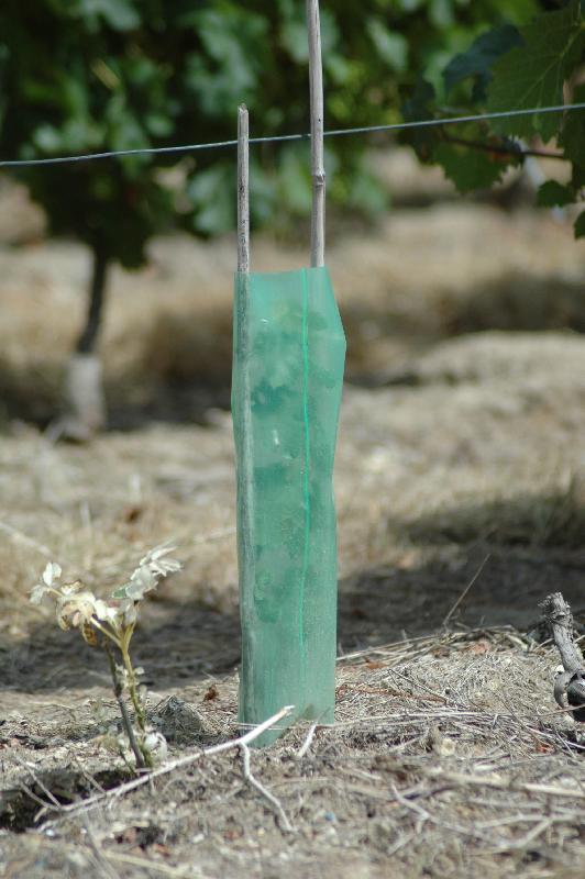 Gaine de désherbage renforcée - plastique vert - hauteur 50 cm - Ø11 cm - lot de 100 unités_0