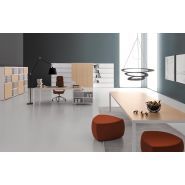 DV905 RYM - Bureaux de direction design par Antonio Morello - DVO_0