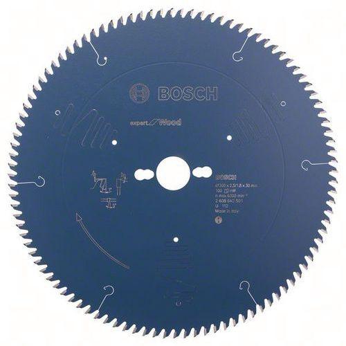 BOSCH 1 LAMES DE SCIES CIRCULAIRES POUR SCIES CIRCULAIRES DE TABLE