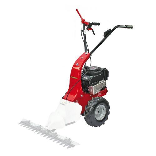 CELLULE MOTRICE MINIEFFE - MOTEUR B&S 625 EXI-SERIES EUROSYSTEMS