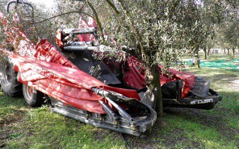 Pick mt - vibreur d'arbre fruitier - arcusin - adaptabilité facile_0