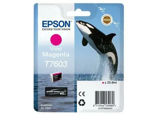 Epson C13T76034N10 cartouche d'encre 1 pièce(s) Original Magenta vif_0