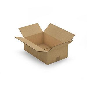 CAISSE CARTON BRUNE DOUBLE CANNELURE RAJA 45X28X15 CM
