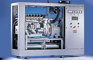 Cogénérateur chauffage - électricité à biomasse - ecogen 363sb_0