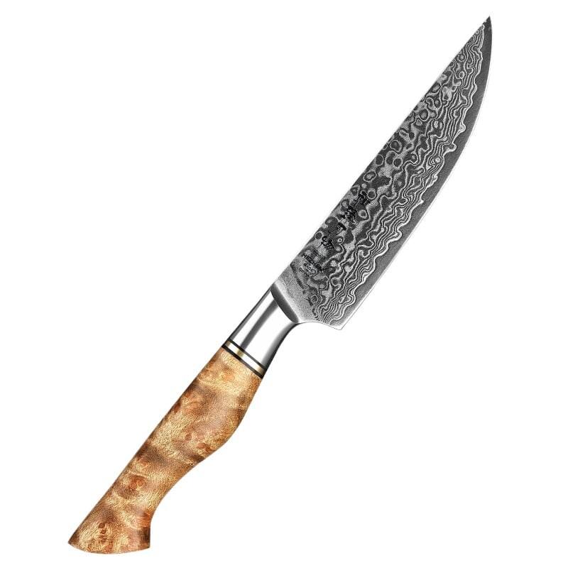 Hezhen - Couteau à steak Damas - Série B30 Master - multicolore multi-matériau B30-NP_0