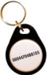 Badge de proximité gris EM 125KHz - Format porte-clés - Non numéroté - Réf. BA403_0