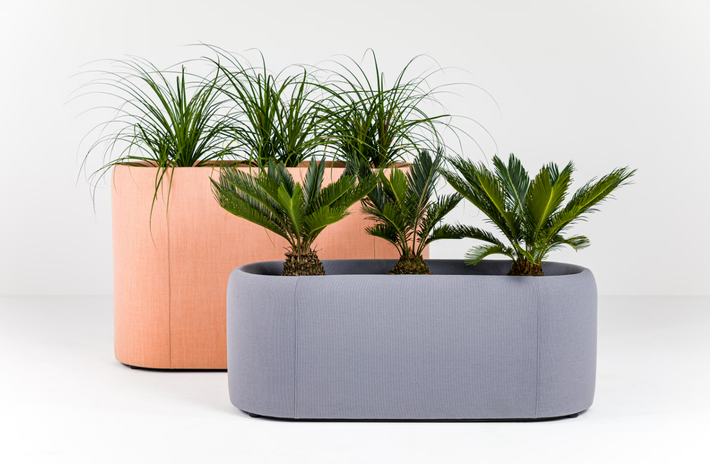 Cloison acoustique végétalisée pour bureaux contemporains_0