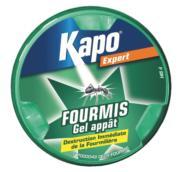 Éliminer les fourmis Éliminer les fourmis