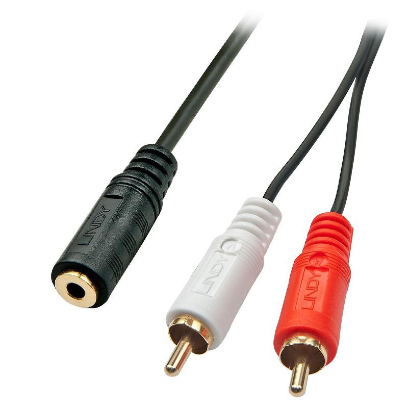 Lindy 35677 Câble audio 0,25 m 2 x RCA 3,5 mm Noir, Rouge, Blanc - multicolore 35677_0