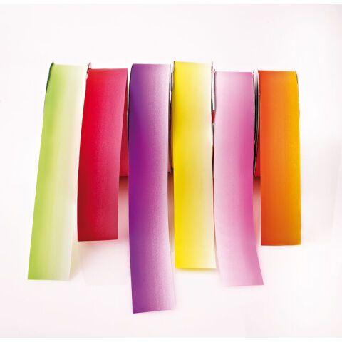 LOT DE 2 - ROULEAU DE 100M DE RUBAN CHARLOTTE PASTEL UNI LARGEUR 50 MM PARME