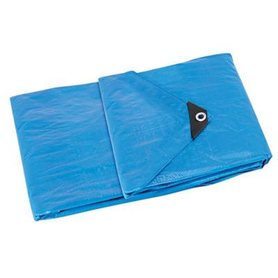 Bâche de protection polyéthylène 105 g/m², 8 x 6m_0