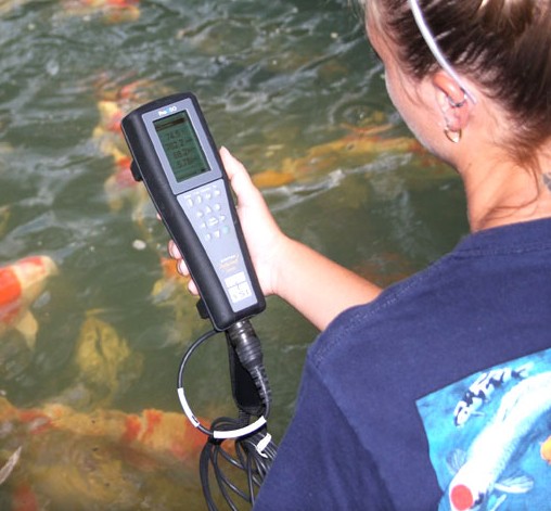 Oxymètre enregistreur YSI Pro Solo ODO - Sonde optique numérique robuste avec câble jusqu'à 100 mètres_0