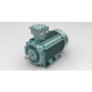 Moteur atex - o.M.E - puissance 0,75 et 315 kw_0