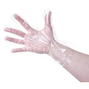 GANTS JETABLES TRANSPARENTS PAR 100