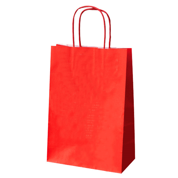 250 sacs kraft couleur à poignées torsadées 200x100x290 mm - SKFTPTRG-GP02_0